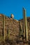A Balanced Rock Perched Precariously Over Saguaro Cactus Filled Hillside