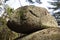 Balanced Rock on Ragged Mountain in Andover, New Hampshire