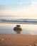 The Balanced Rock Stack: A calming, highly reflective ocean back