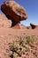 Balanced rocks in the Glen Canyon