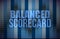 Balanced scorecard on digital screen, business