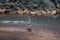 Balancing pyramid of sea pebbles on a beach background, the concept of harmony and balance. Stones balancing.