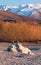 Balancing rocks on background of yellow willow trees