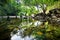 Balancing rocks tower for zen meditation in nature