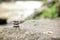 Balancing zen pebble stones outdoors