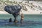 Balandra beach suspended mushroom rock mexico