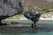 Balandra beach suspended mushroom rock mexico baja california sur