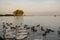 Balaton lake in Hungary