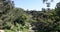 Balboa Park Japanese Garden San Diego California 4K
