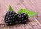 Balckberry fruit closeup