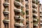 Balconies and windows with plants