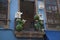 Balcony decorated with bird cages and doves