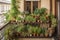 balcony filled with various types of herbs, creating a bountiful and fragrant garden