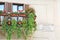 Balcony with flower pots in Piazza Navona, Rome