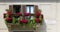 Balcony with flowerpots in Piazza Navona, Rome