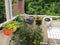 Balcony with flowers and vegetables