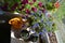 Balcony gardening. Top view on petunia, lobelia flowers, aloe in flower pots and orange watering can