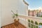 balcony with a houseplant