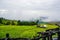 Balcony view cottage in golden rice terrace