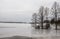 Bald Cypress in Frozen Lake in Winter