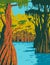 Bald Cypress Growing in the Swamp of Owl Creek in Apalachicola National Forest Located in the Florida Panhandle WPA Poster Art