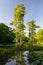 Bald Cypress at Reelfoot Lake