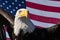 Bald eagle and American flag patriotic symbols of USA America