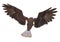 Bald eagle attacking on white background top rear view