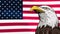 Bald Eagle Background