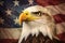 Bald Eagle on the background of the United States of America flag