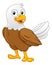 Bald Eagle Bird Cute Cartoon Wildlife Mascot