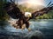 Bald Eagle catching fish in river