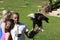 Bald Eagle on a falconer\'s hand