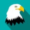 Bald eagle flat icon