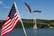Bald Eagle in flight with the American Flag