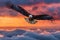 Bald Eagle Flying Above the Clouds at Sunset