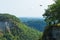 Bald Eagle flying over a gorge in Letchworth State Park.