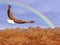 Bald eagle flying upon rocky mountains to the rainbow - 3D render