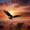 Bald eagle flying through the sky