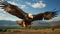 Bald eagle gliding against blue sky