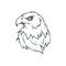 Bald eagle logo. Wild birds drawing.