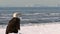 Bald eagle looking out at scenic sea and distance mountains