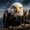 Bald Eagle Looking at You