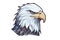 Bald Eagle, Minimalist Style, White Background Cartoonish, Flat Illustration. Logo. Generative AI