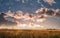 Bald Eagle perched in a dead tree overlooking a marsh land on the Chesapeake Bay at sunset