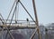 Bald Eagle perched in electrical tower on Conowingo Dam on the Susquehanna River, Maryland, USA