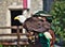 Bald eagle perched on its falconer`s hand