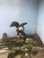 Bald Eagle sitting on a perch with wings spread