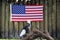 Bald eagle standing in front of the American flag