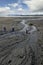 Bald eagles on beach in Southeast Alaska